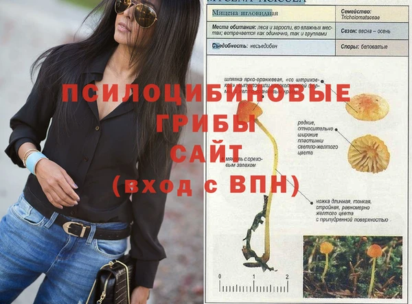мескалин Пролетарск